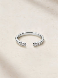 Silver Frost